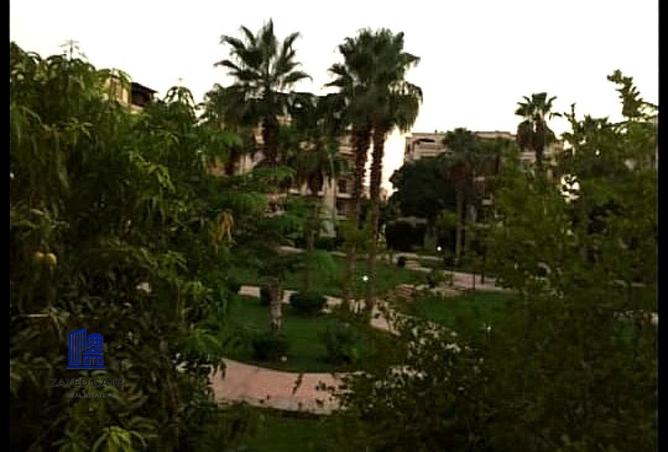 64382510 - صورة العقار 3