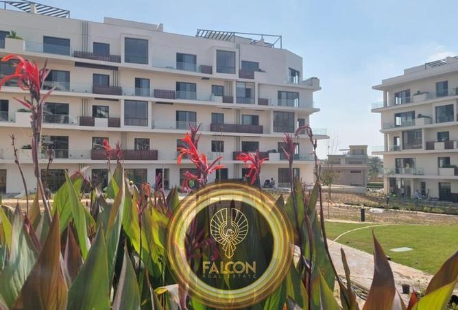 58241487 - Property Image 3