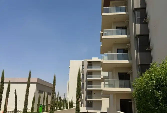 117531153 - Property Image 3
