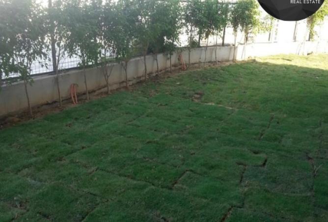 58248480 - صورة العقار 2