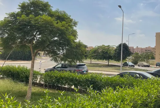 113830701 - صورة العقار 3