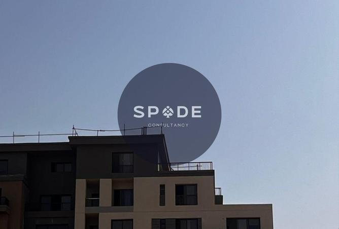 64386810 - Property Image 3