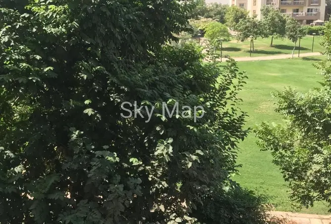117539454 - Property Image 2