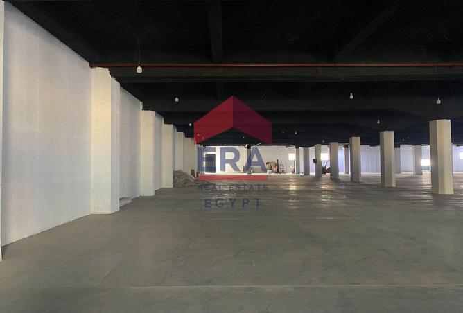 99116204 - Property Image 2