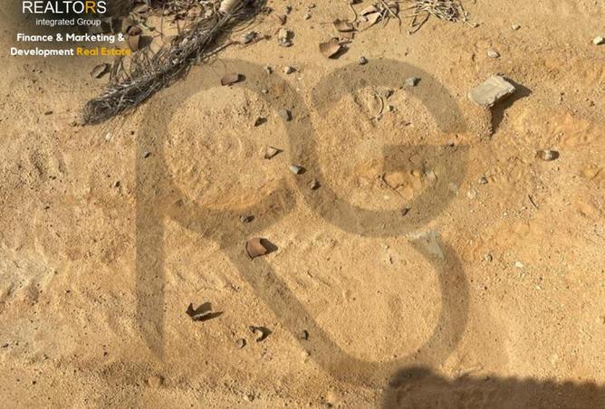 55995337 - صورة العقار 3