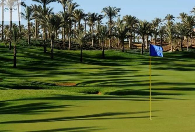 56253079 - Property Image 3