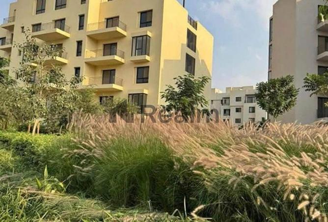 79714947 - Property Image 3