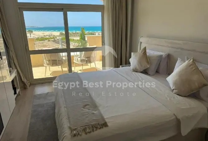 115719736 - Property Image 2
