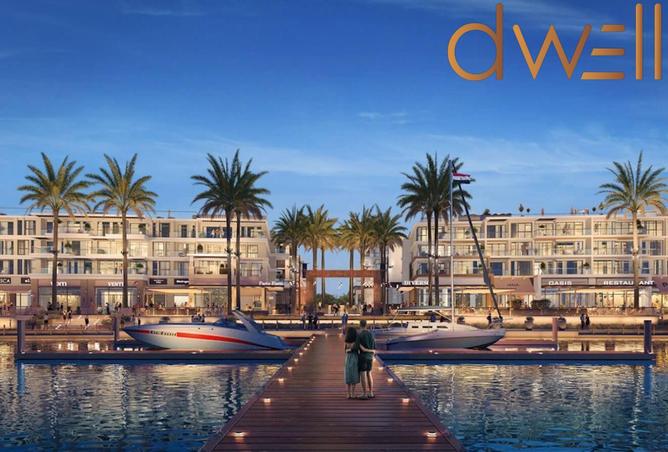 56258697 - صورة العقار 2