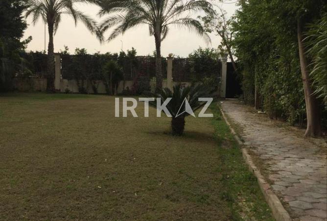 8601142 - صورة العقار 2