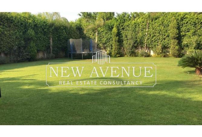 57994777 - صورة العقار 2