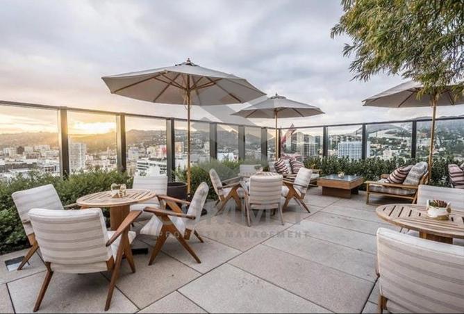 68003267 - صورة العقار 3