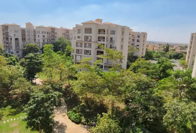 114627711 - صورة العقار 3