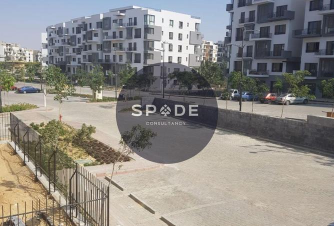 56253579 - Property Image 2