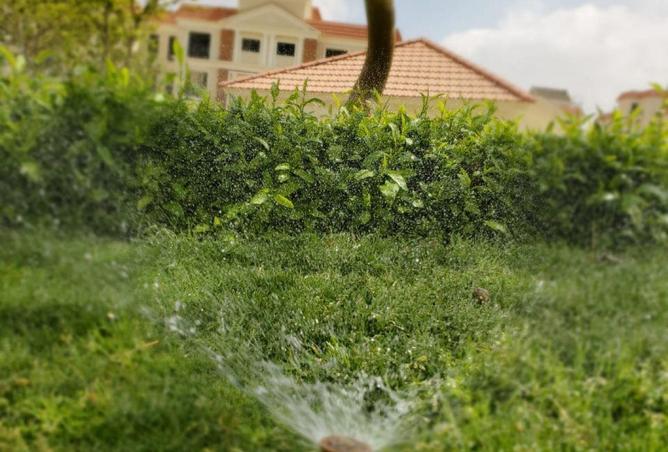 56251484 - الصورة الرئيسية للعقار