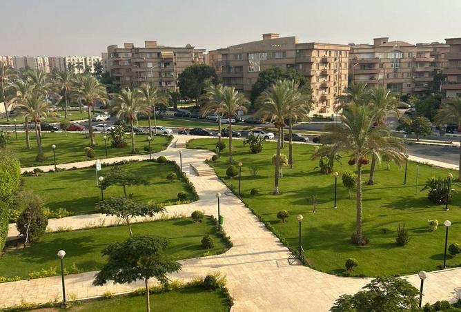 53733100 - Property Image 3