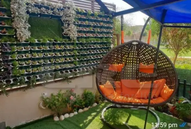 115449509 - Property Image 2
