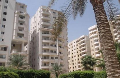 Apartment - 3 Bedrooms - 3 Bathrooms for sale in Al Forsan City - New Maadi - Hay El Maadi - Cairo