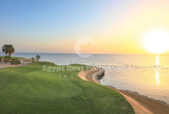 57495838 - Property Image 3