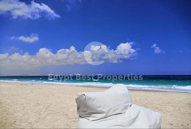 102903351 - Property Image 3