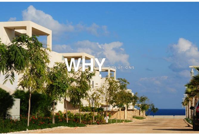 67999398 - Property Image 2