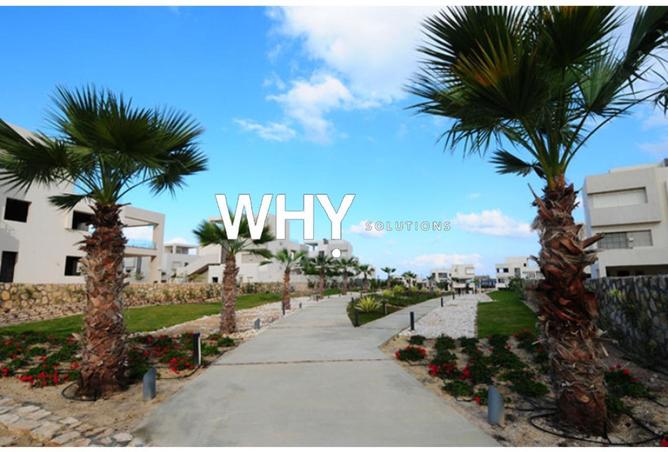 67999398 - Property Image 3