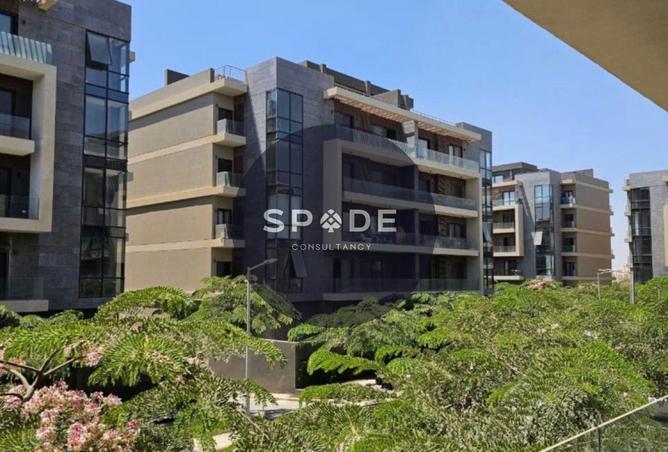 56251148 - Property Image 3