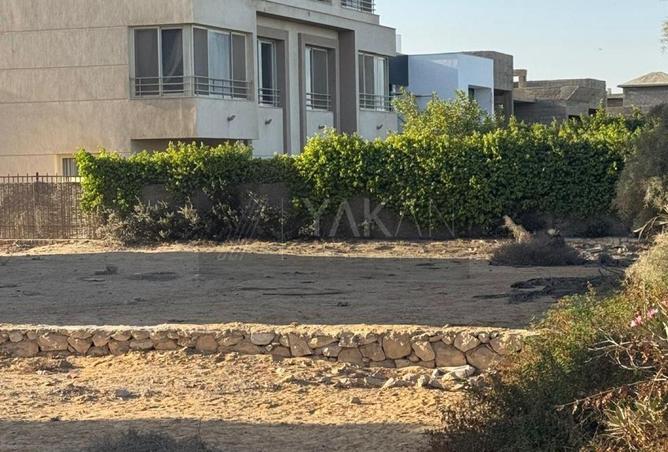 8603154 - Property Image 3