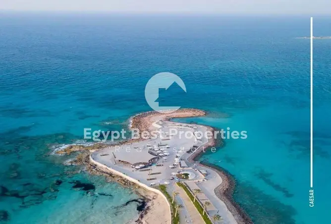 104036464 - Property Image 3