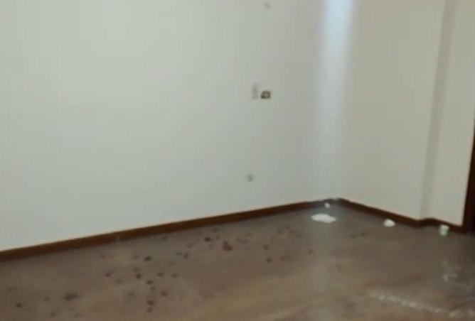 52707080 - صورة العقار 2