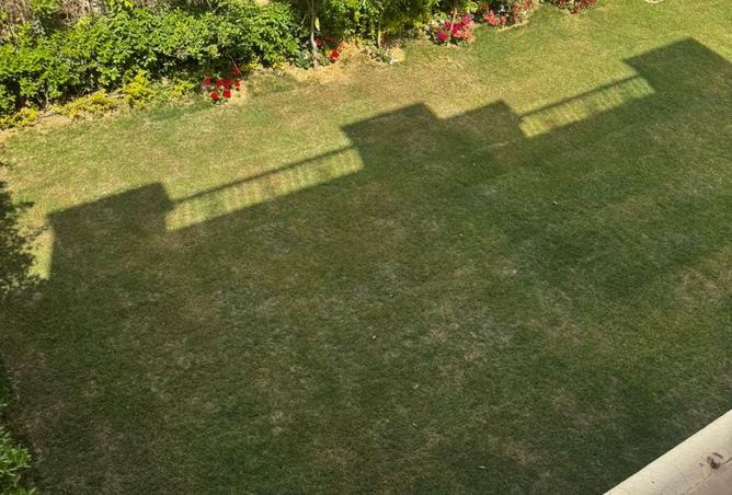 69579890 - الصورة الرئيسية للعقار