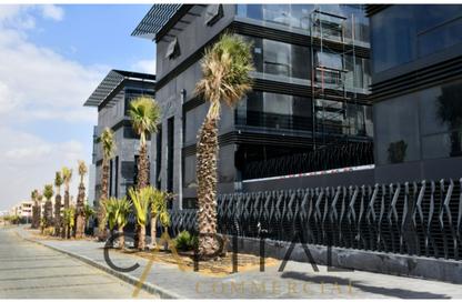 Whole Building - Studio - 7 Bathrooms for sale in Cairo Business Park - 5th Settlement Compounds - The 5th Settlement - New Cairo City - Cairo Whole Building - Studio - 7 Bathrooms for sale in Cairo Business Park - 5th Settlement Compounds - The 5th Settlement - New Cairo City - Cairo