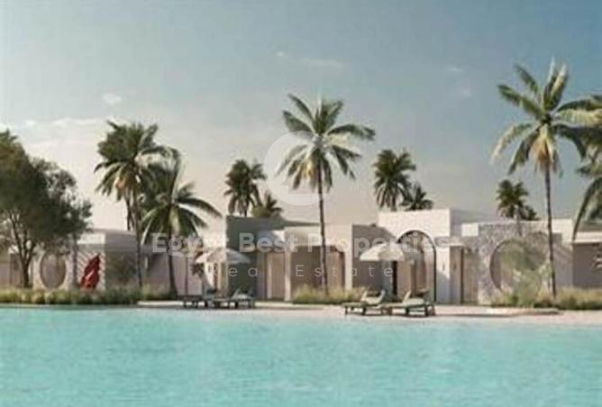 66169479 - صورة العقار 3