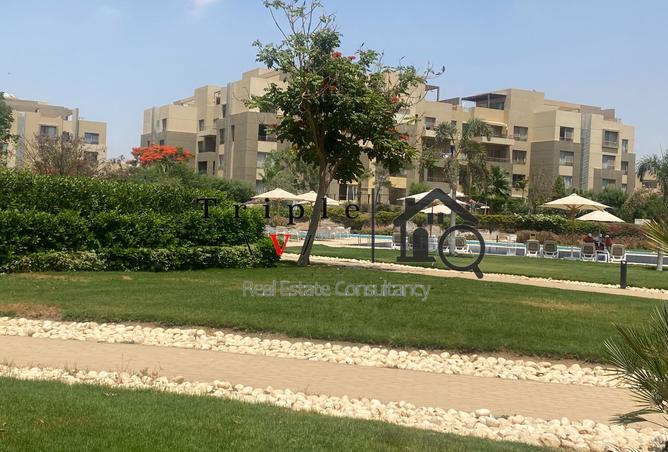 97995575 - Property Main Image
