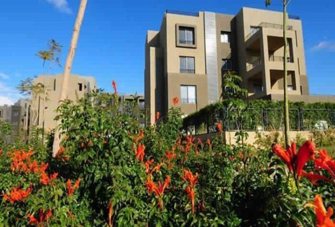 57491865 - صورة العقار 2