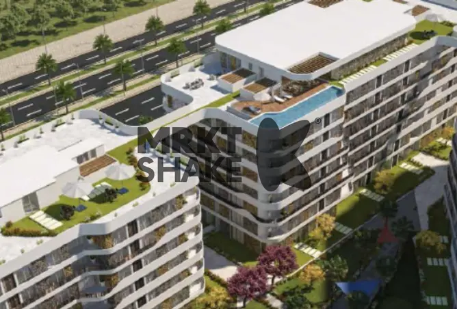 118547781 - Property Image 2