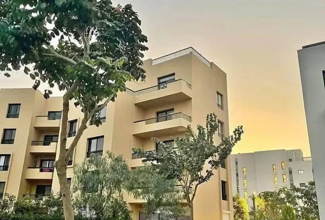 100931789 - Property Image 2