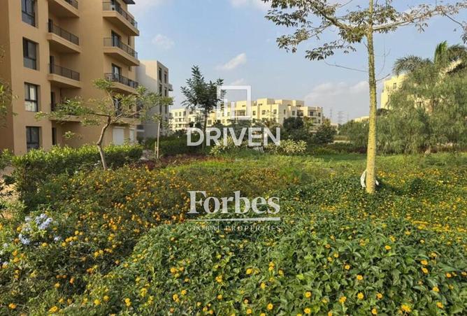 8542340 - صورة العقار 2