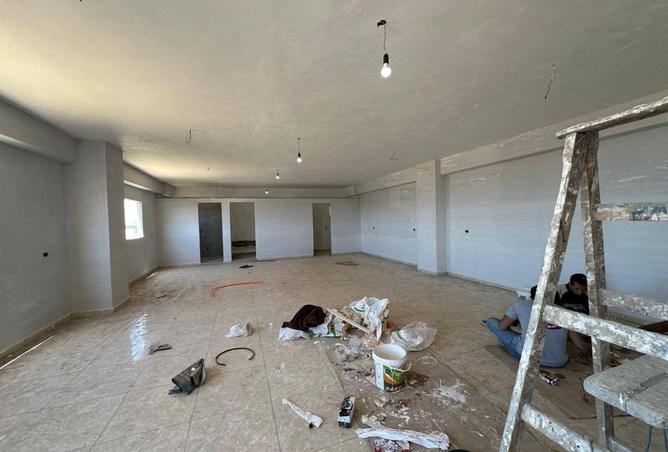 8594691 - صورة العقار 2