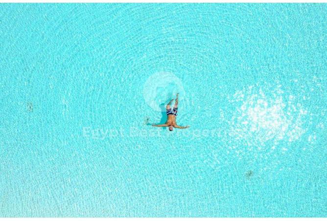 8515353 - Property Image 3