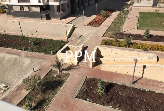 8462719 - Property Image 2