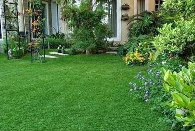 8541575 - صورة العقار 2