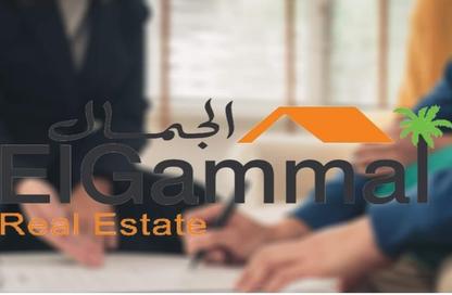 مساحات مكتبية - استوديو - 1 حمام للبيع في سنترال بارك - امتداد المستثمرين الشمالية - مدينة القاهرة الجديدة - القاهرة