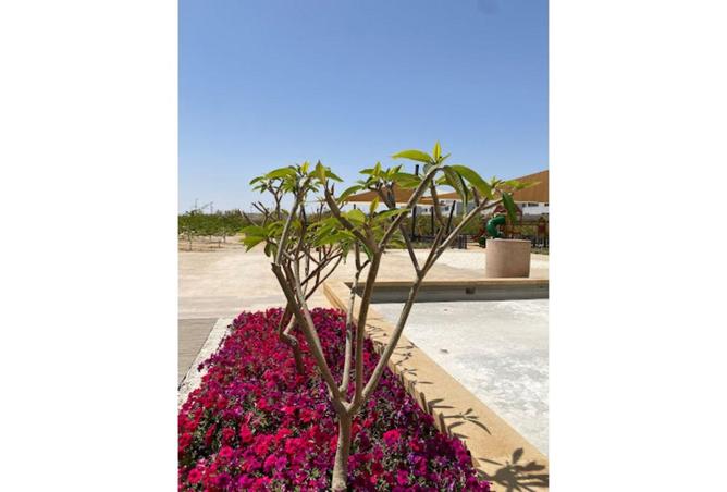 51168366 - Property Image 3