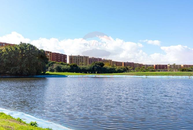 8584905 - Property Image 3