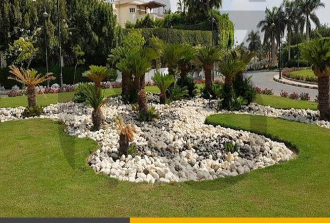 55999782 - صورة العقار 2