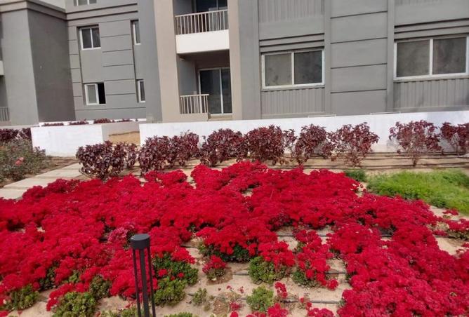 76515224 - صورة العقار 3