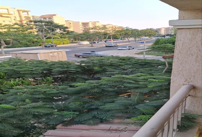 53221571 - صورة العقار 2