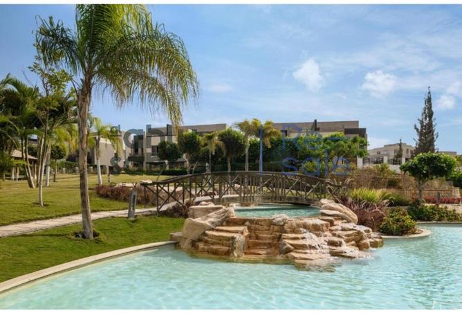 52968531 - Property Image 3