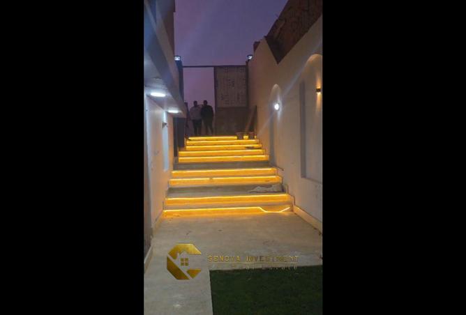 58002923 - صورة العقار 3